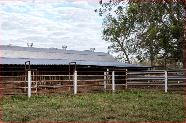 a view of entrance gate of a house with a yard