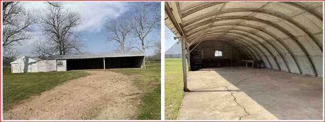 a view of a trees with a yard