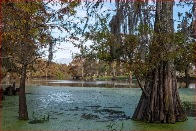 a view of lake with green space