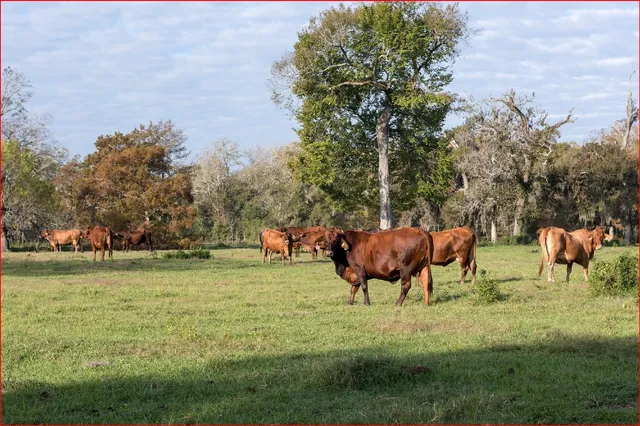 $6,000,000 | 7654 County Road 121, Wharton, TX 77488