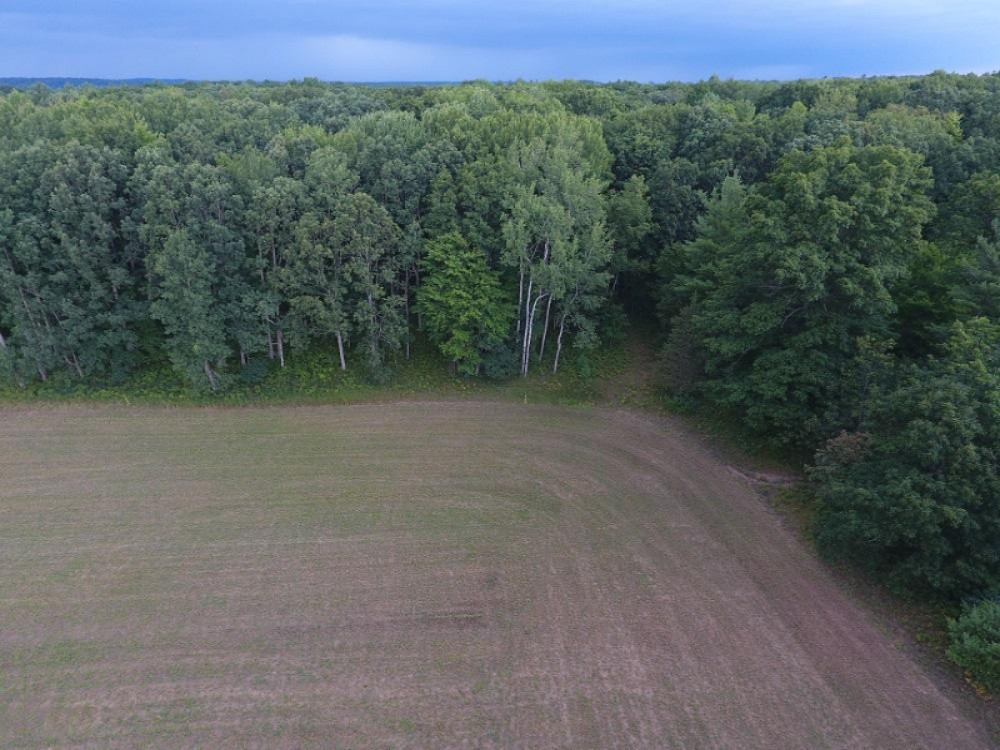23476 5 Mile Road Morley, MI 49336 - Photo 8 of 9 DJI_0007