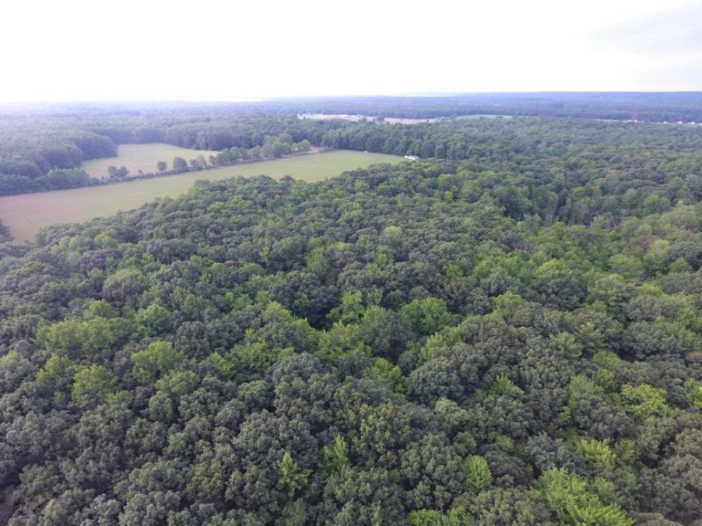 23476 5 Mile Road Morley, MI 49336 - Photo 9 of 9 DJI_0008