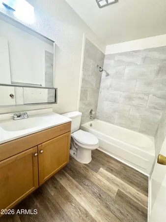 a bathroom with a sink a toilet and a bathtub