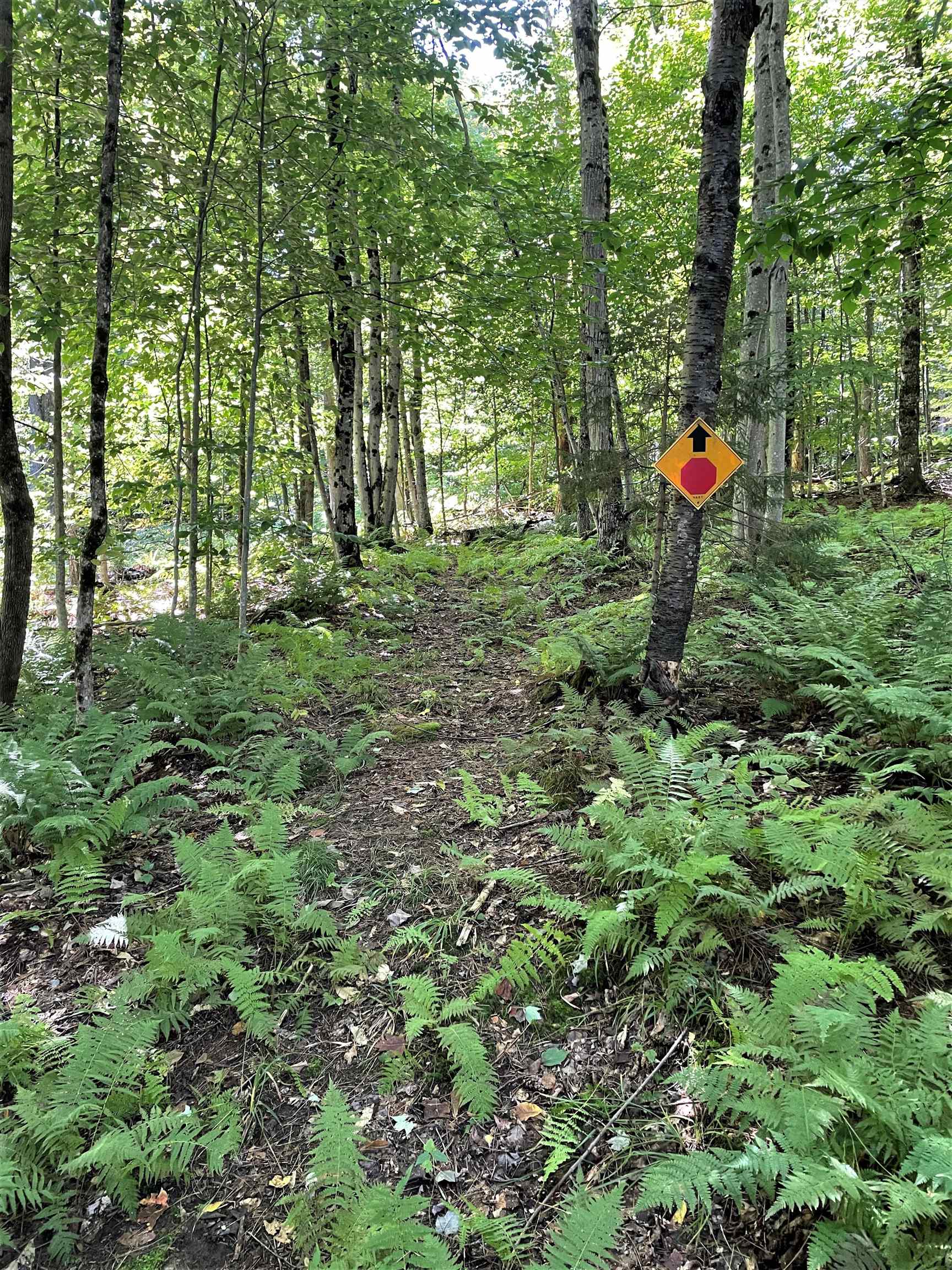 77 Fornuto Road Wardsboro, VT 05355 - Photo 12 of 13