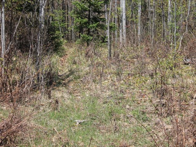 19081 Erickson Drive Dunbar, WI 54119 - Photo 72 of 87
