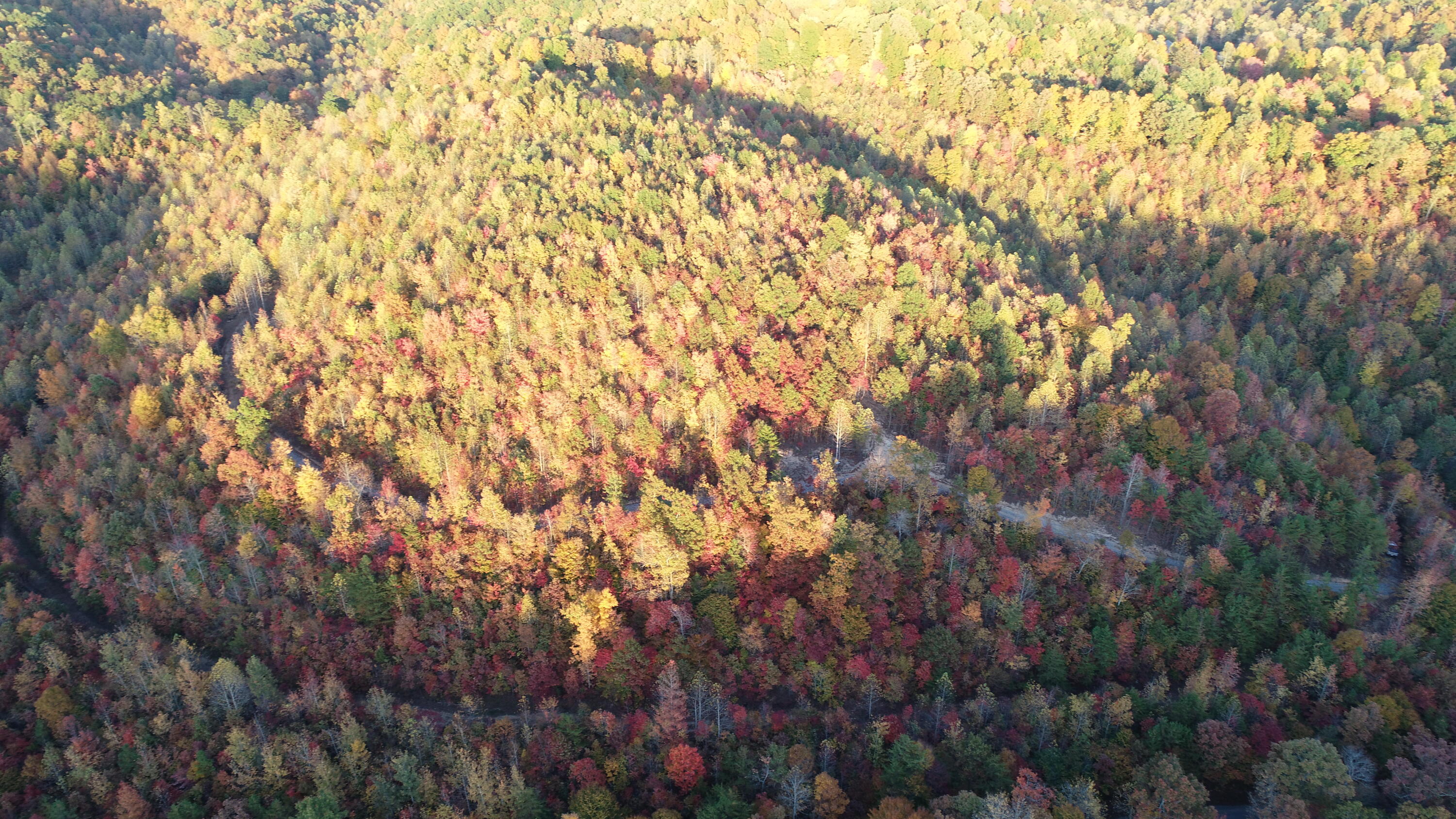 1111 Nineva Road London, KY 40741 - Photo 34 of 35 DJI_0522