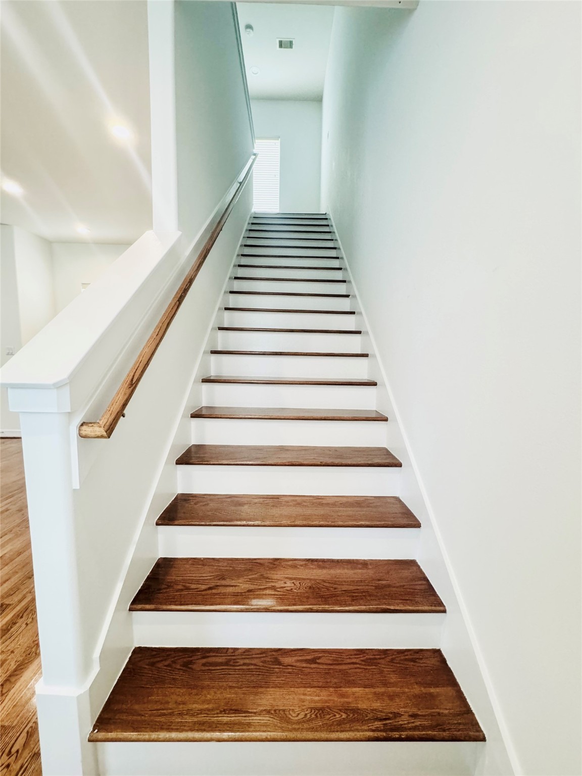 3846 Center Street Houston, TX 77007 - Photo 23 of 37 a view of entryway