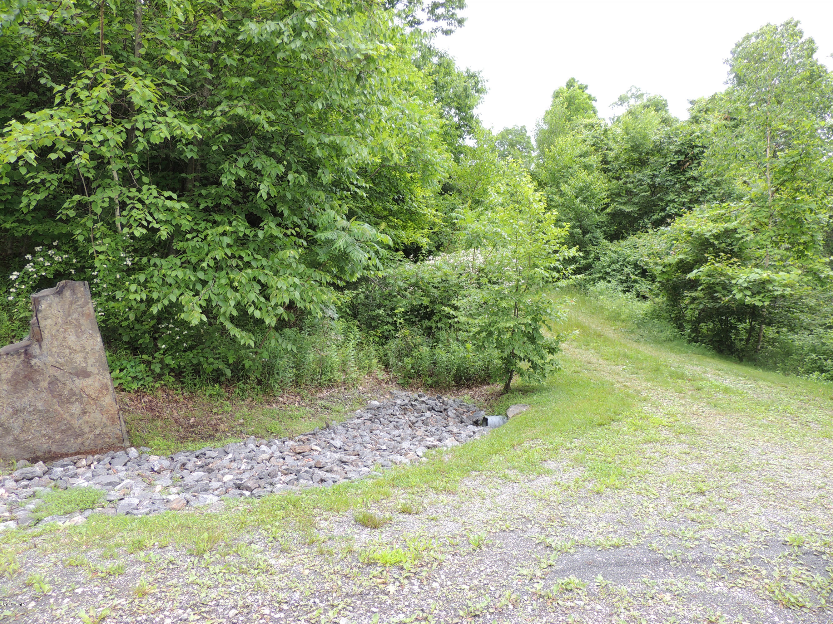 Millard Road Egremont, MA 01230 - Photo 8 of 9 DSCN0722