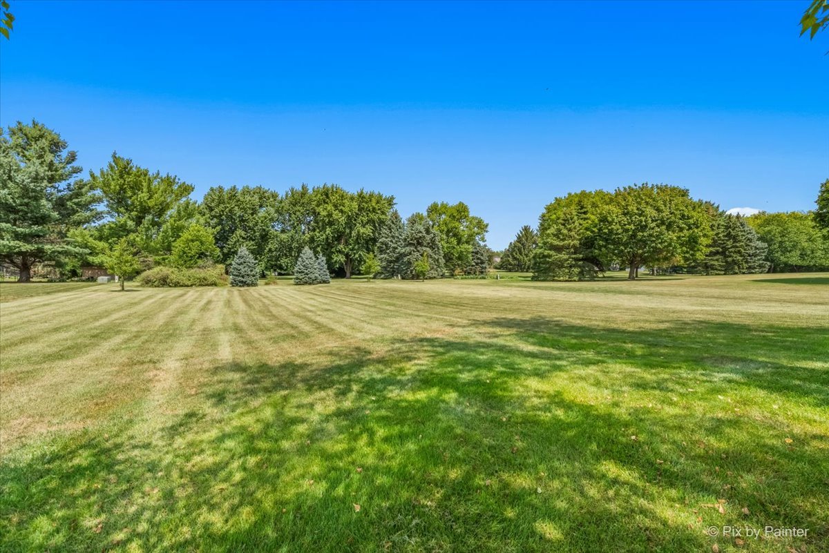 39W278 Baert Road St. Charles, IL 60175 - Photo 35 of 47 a view of a field with trees in the background