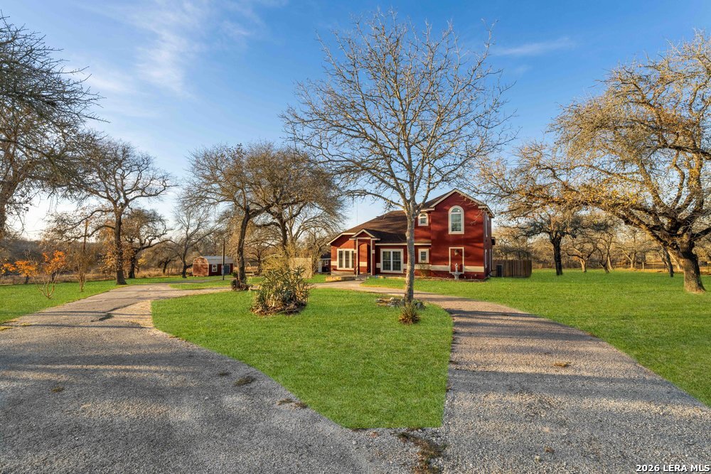 a tall tree in middle of the park