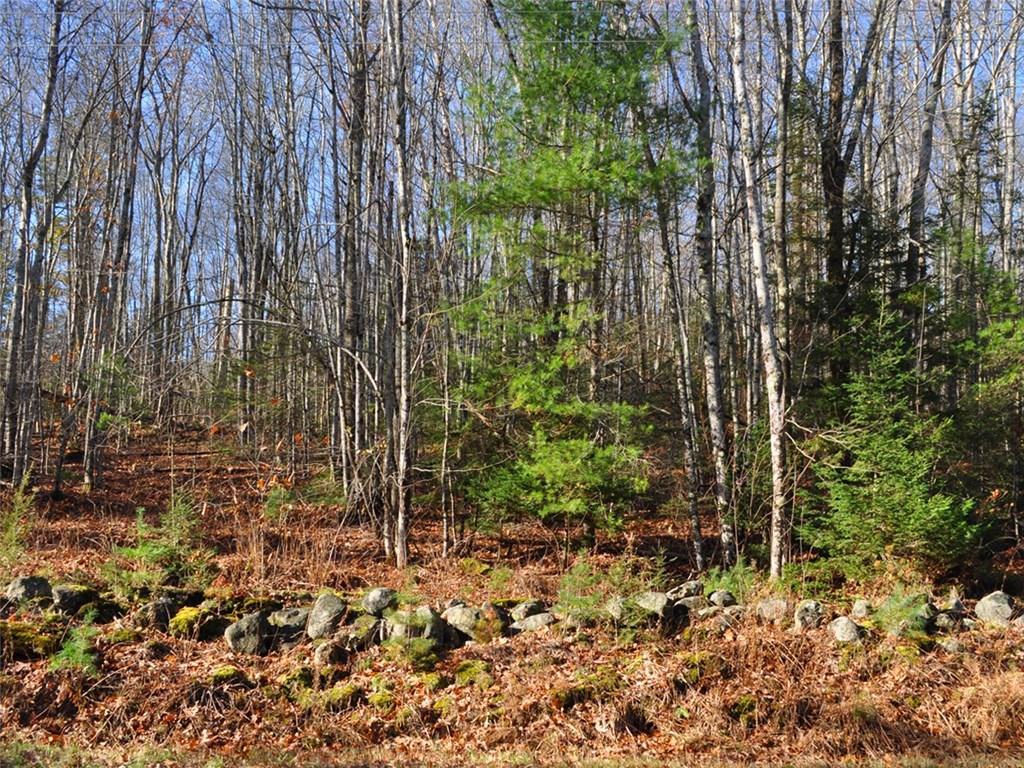 Lot 17 Bremen Road Waldoboro, ME 04572 - Photo 5 of 6 Photo