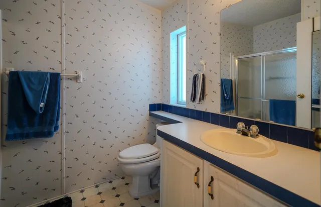 a bathroom with a sink a toilet and a mirror