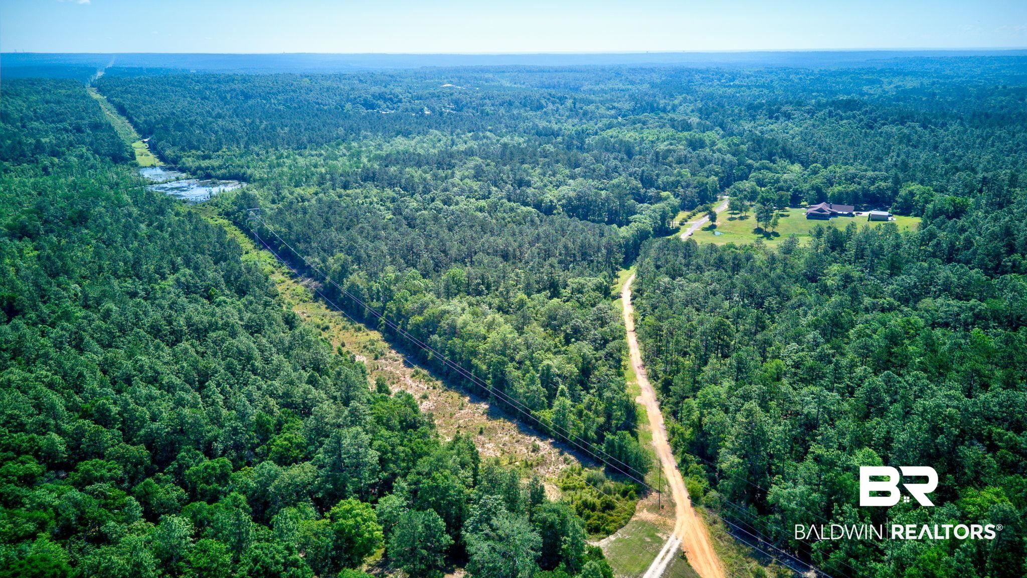 0 Evans Road Chunchula, AL 36521 - Photo 18 of 19