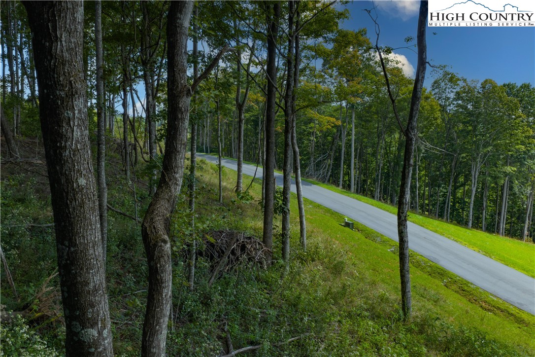 Lot 25 Poplar Forest Drive Boone, NC 28607 - Photo 19 of 25 a view of a garden from a corridor