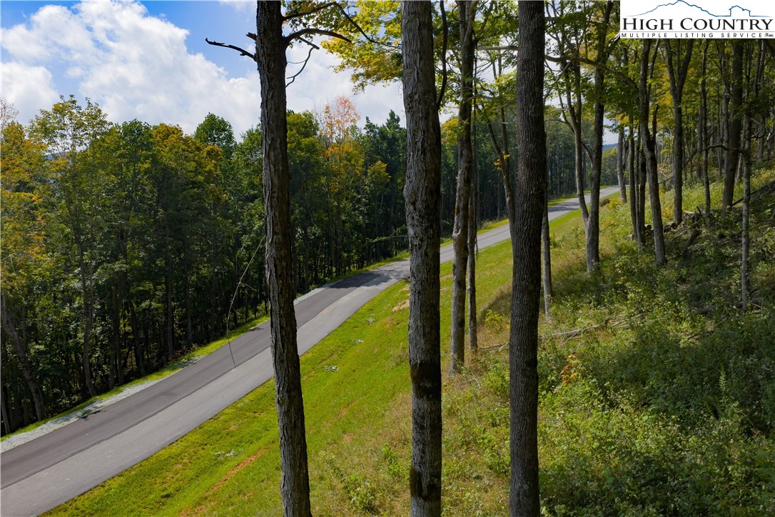 Lot 25 Poplar Forest Drive Boone, NC 28607 - Photo 20 of 25 a view of swimming pool from a balcony