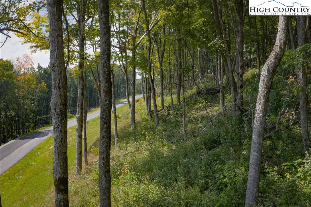 Lot 25 Poplar Forest Drive Boone, NC 28607 - Photo 21 of 25 a view of a garden from a balcony