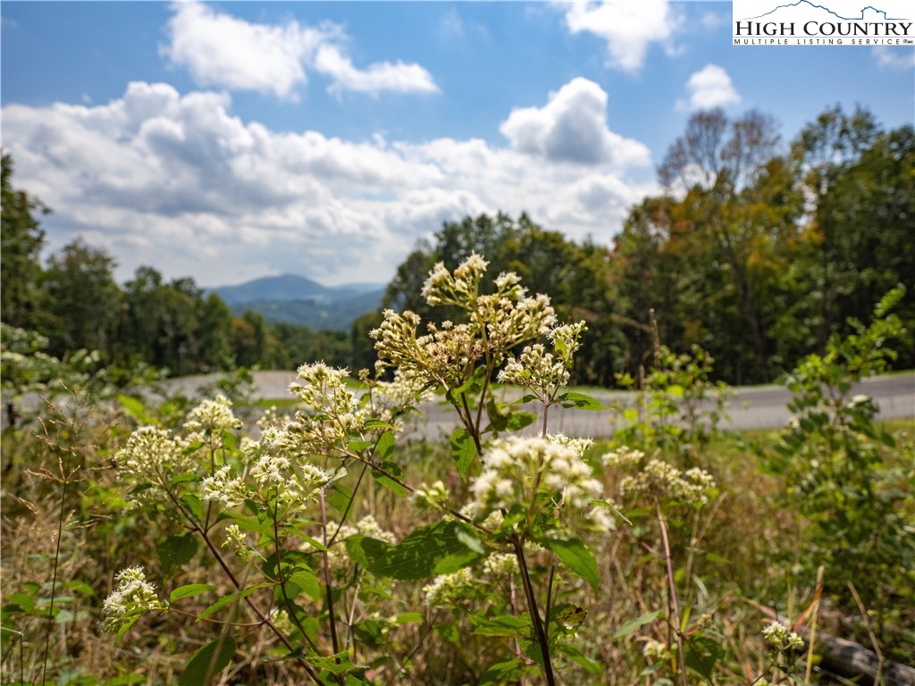Lot 25 Poplar Forest Drive Boone, NC 28607 - Photo 22 of 25