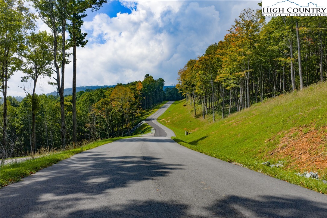 Lot 25 Poplar Forest Drive Boone, NC 28607 - Photo 24 of 25 a view of a park with large trees