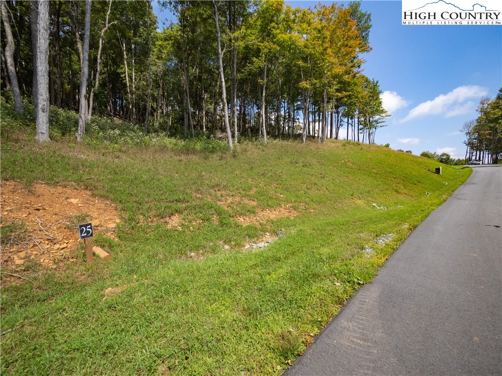 Lot 25 Poplar Forest Drive Boone, NC 28607 - Photo 7 of 25 a backyard of a house with lots of green space