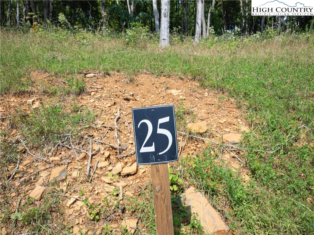 Lot 25 Poplar Forest Drive Boone, NC 28607 - Photo 8 of 25 a sign broad in front of a tree