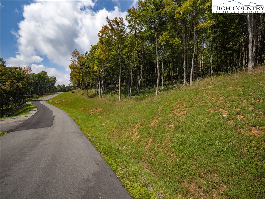 Lot 25 Poplar Forest Drive Boone, NC 28607 - Photo 9 of 25 a view of a pathway both side of green space