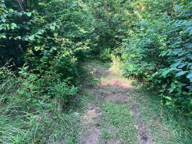 233 Felicity Cedron Rural Road Georgetown, OH 45121 - Photo 5 of 5