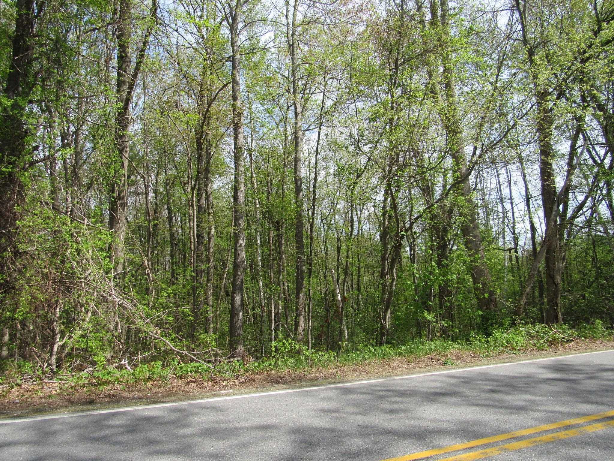 45 Dutton Road Pelham, NH 03076 - Photo 1 of 4