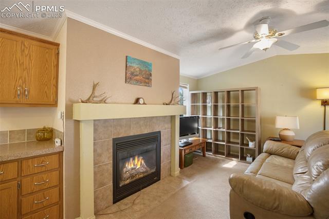 3576 Pathfinder Road Florissant, CO 80816 - Photo 11 of 44 Gallery Image 11