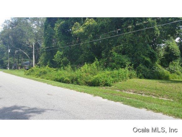 0 Southeast 138th Place Road Summerfield, FL 34491 - Photo 1 of 1 Primary Photo