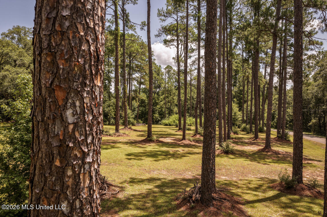 1140 Irene Road Magnolia, MS 39652 - Photo 49 of 51 DJI_20260811130825_0337_D