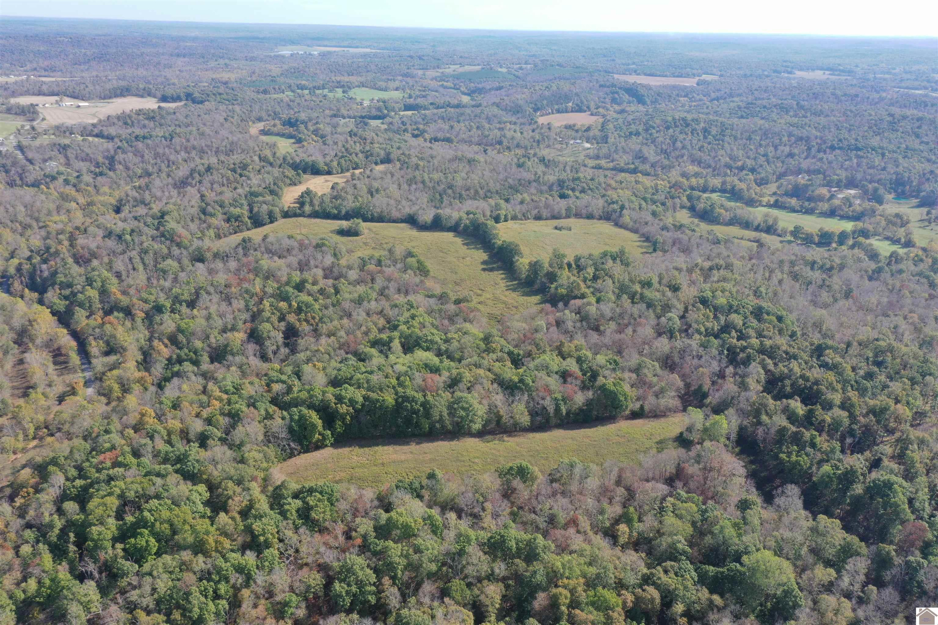 0 Princeton Olney Road, Unit FARM 3 Princeton, KY 42445 - Photo 5 of 9 Photo 5