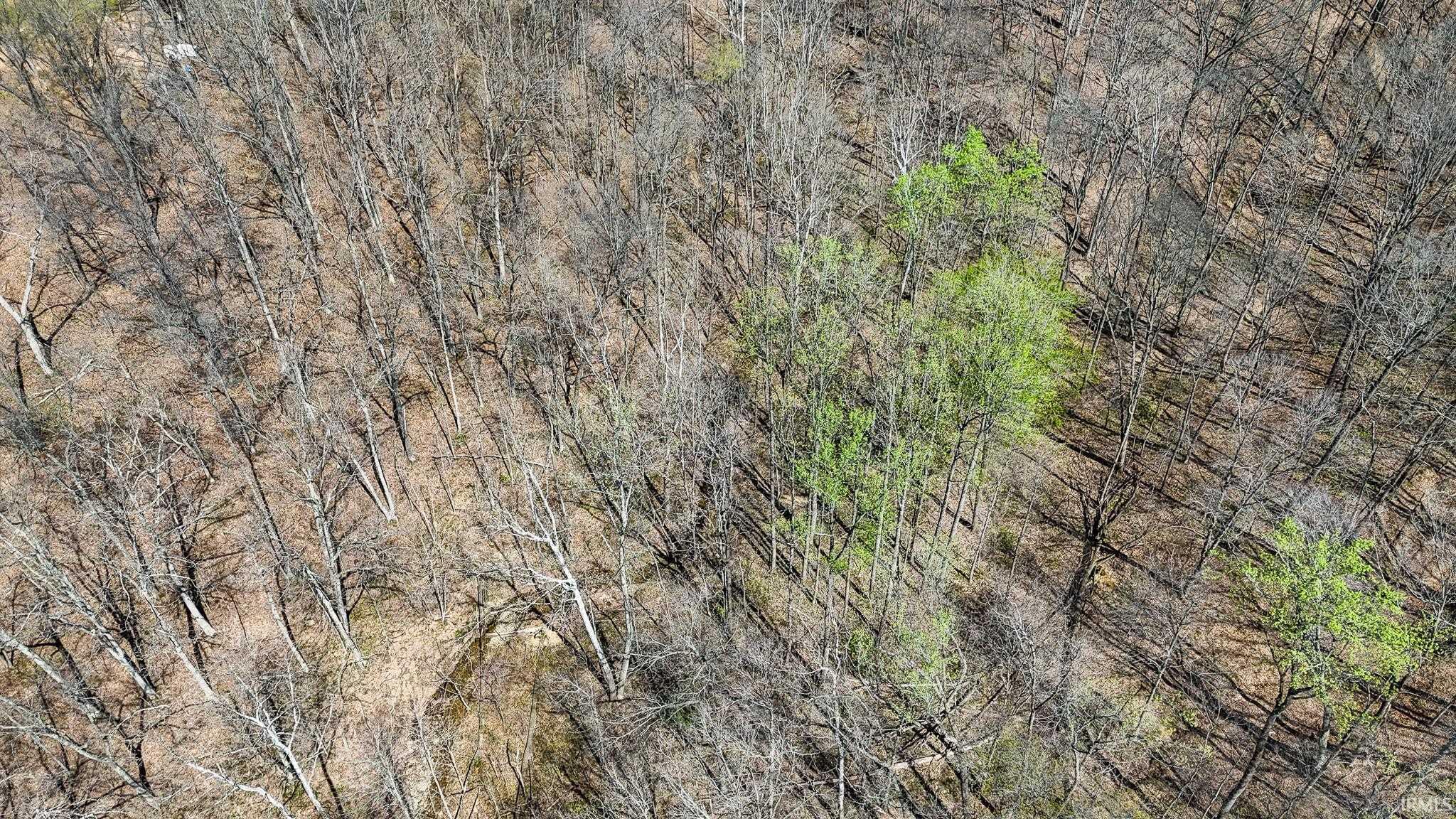 Tbd Hardin Ridge Road Bedford, IN 47421 - Photo 15 of 17