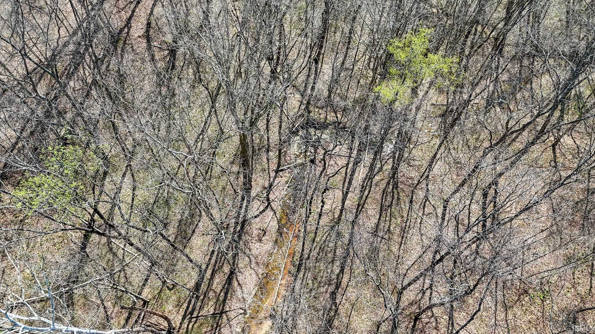 Tbd Hardin Ridge Road Bedford, IN 47421 - Photo 7 of 17