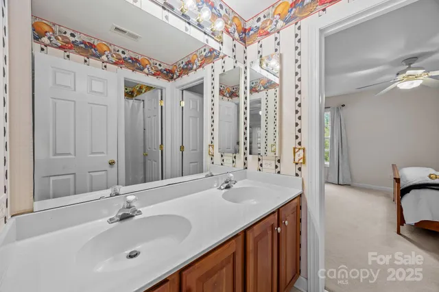 a bathroom with a sink vanity and a mirror