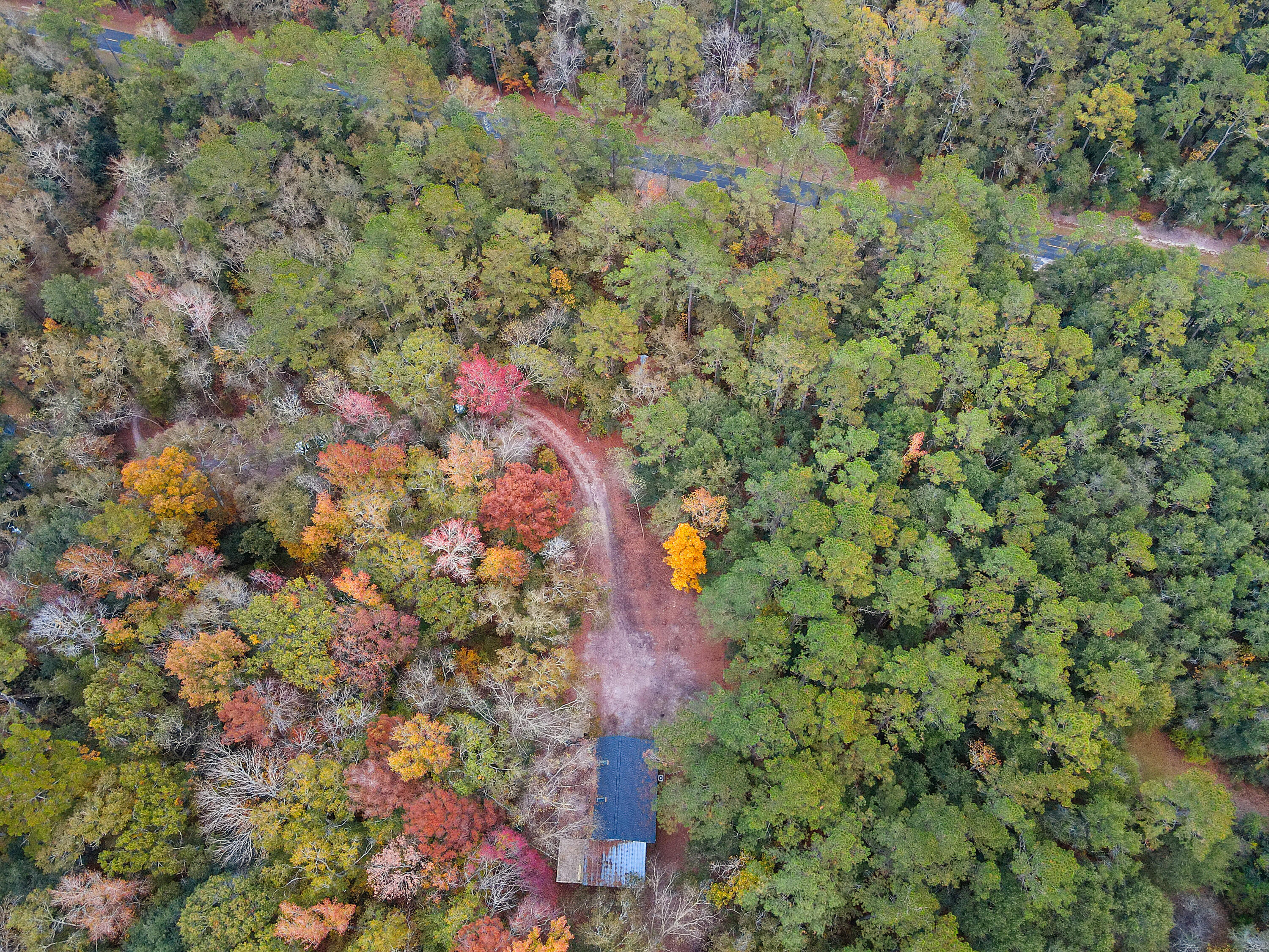 7343 Parkers Ferry Road Adams Run, SC 29426 - Photo 22 of 27 Property 3