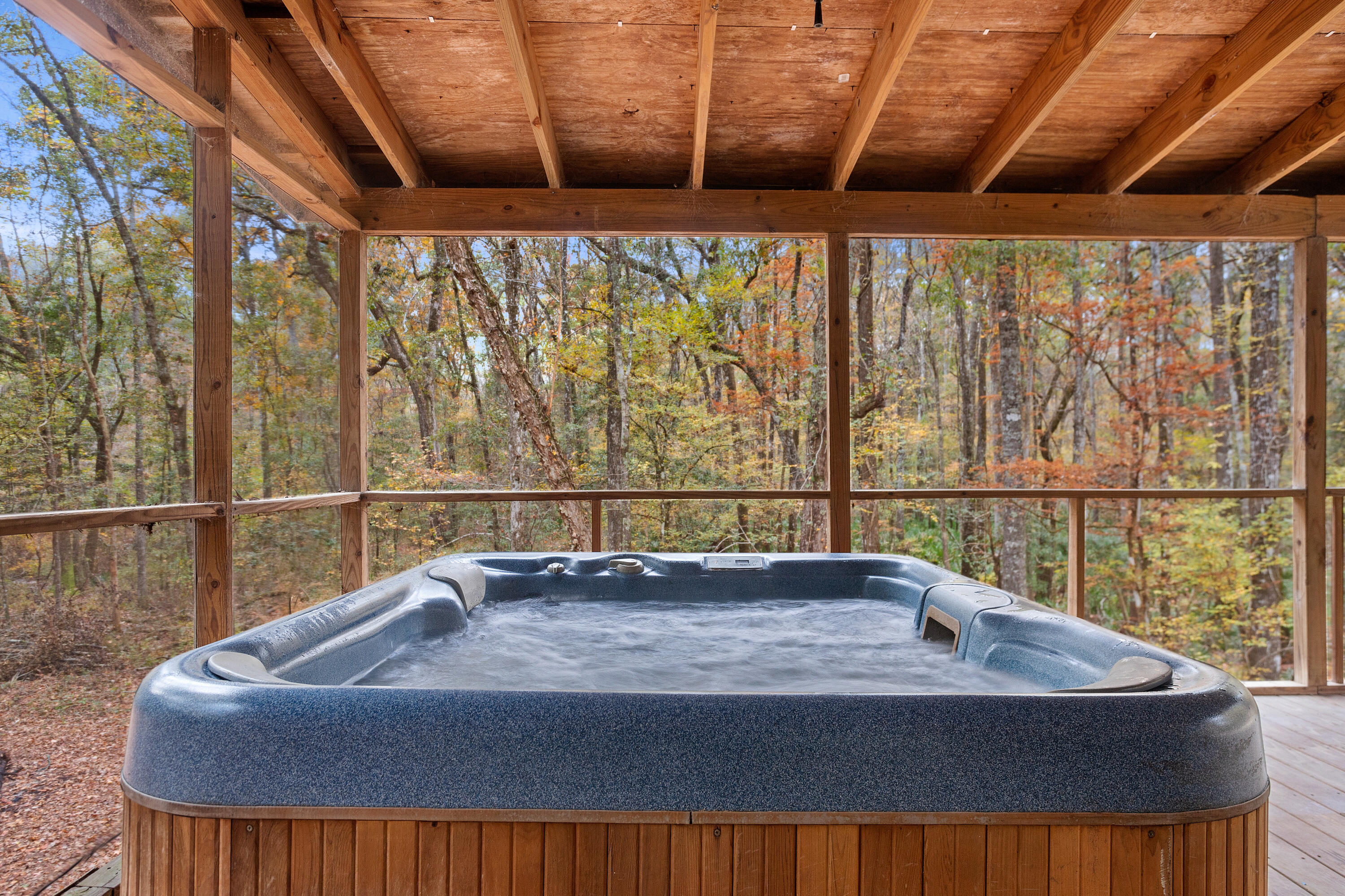 7343 Parkers Ferry Road Adams Run, SC 29426 - Photo 6 of 27 Hot tub1
