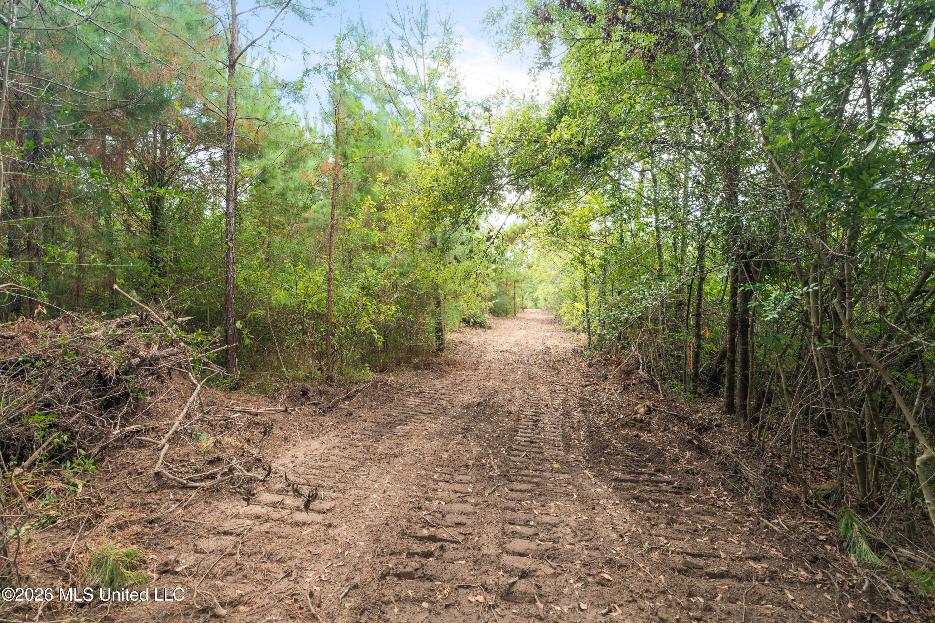 2705 Pilgrims Rest Road Magnolia, MS 39652 - Photo 23 of 68 2629_Pilgrims_Rest_Rd_Lot_2-4