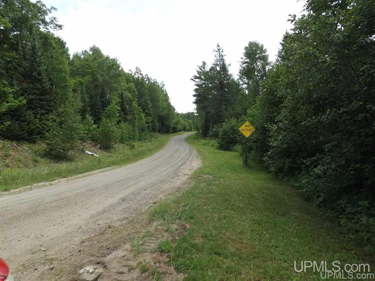 Tbd South Olson Lake Road Michigamme, MI 49861 - Photo 9 of 25