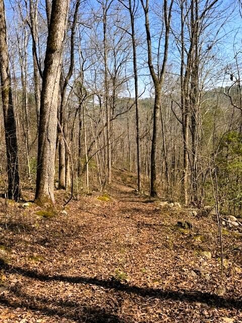 768 Ellis Creek Road Reliance, TN 37369 - Photo 3 of 18