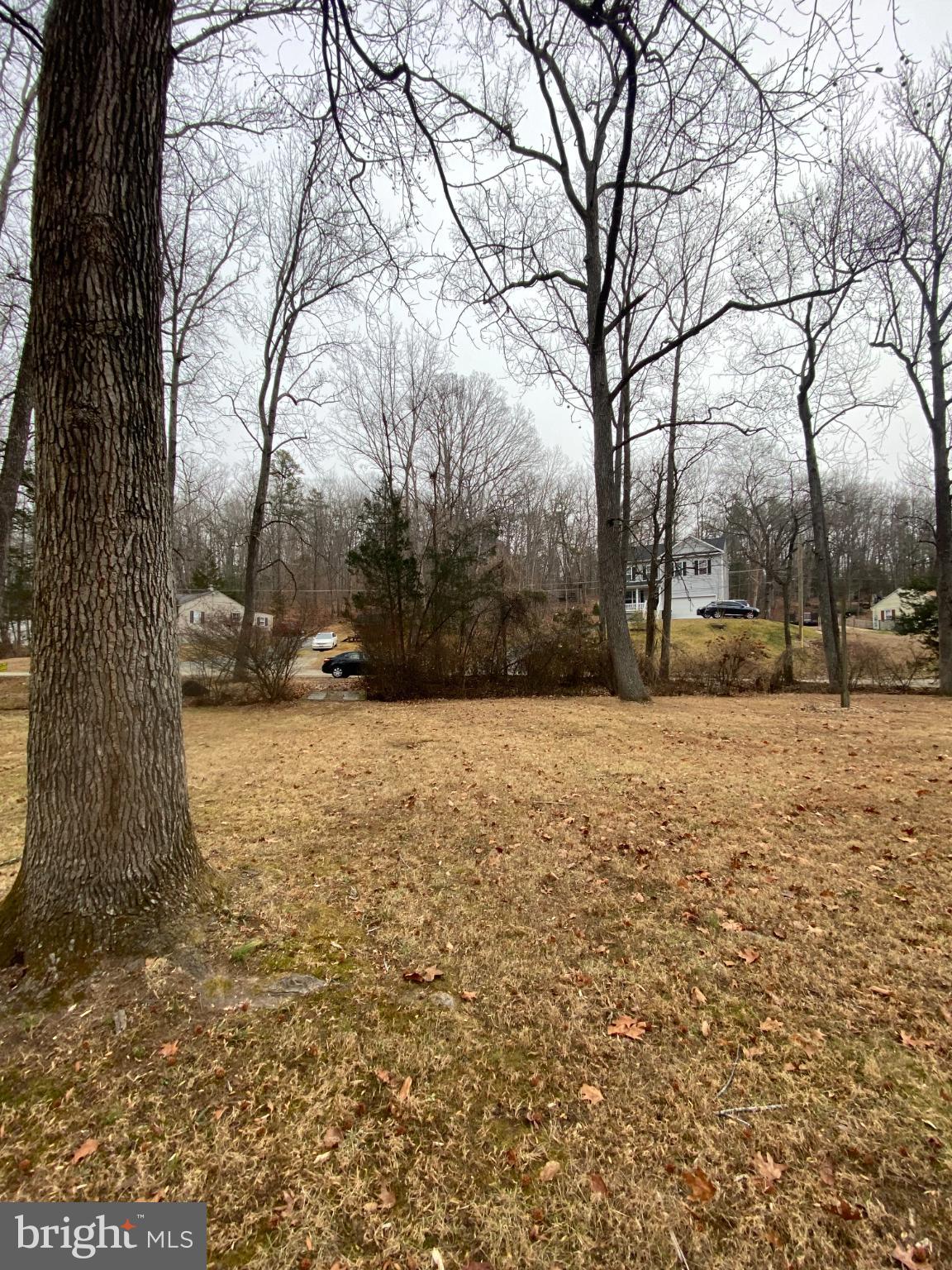0 Jumping Branch Road Stafford, VA 22554 - Photo 11 of 18 a view of snow covered with snow
