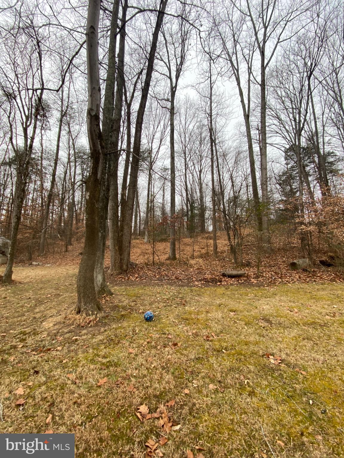 0 Jumping Branch Road Stafford, VA 22554 - Photo 12 of 18 a backyard of a house with lots of green space