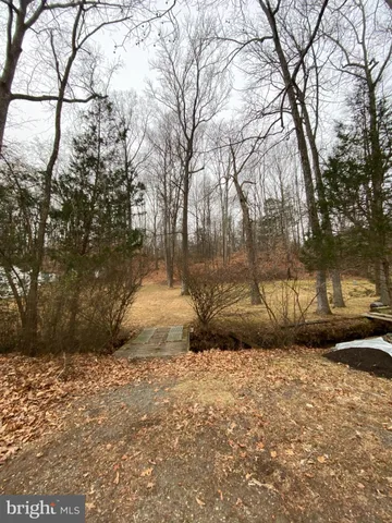 a view of a yard with trees