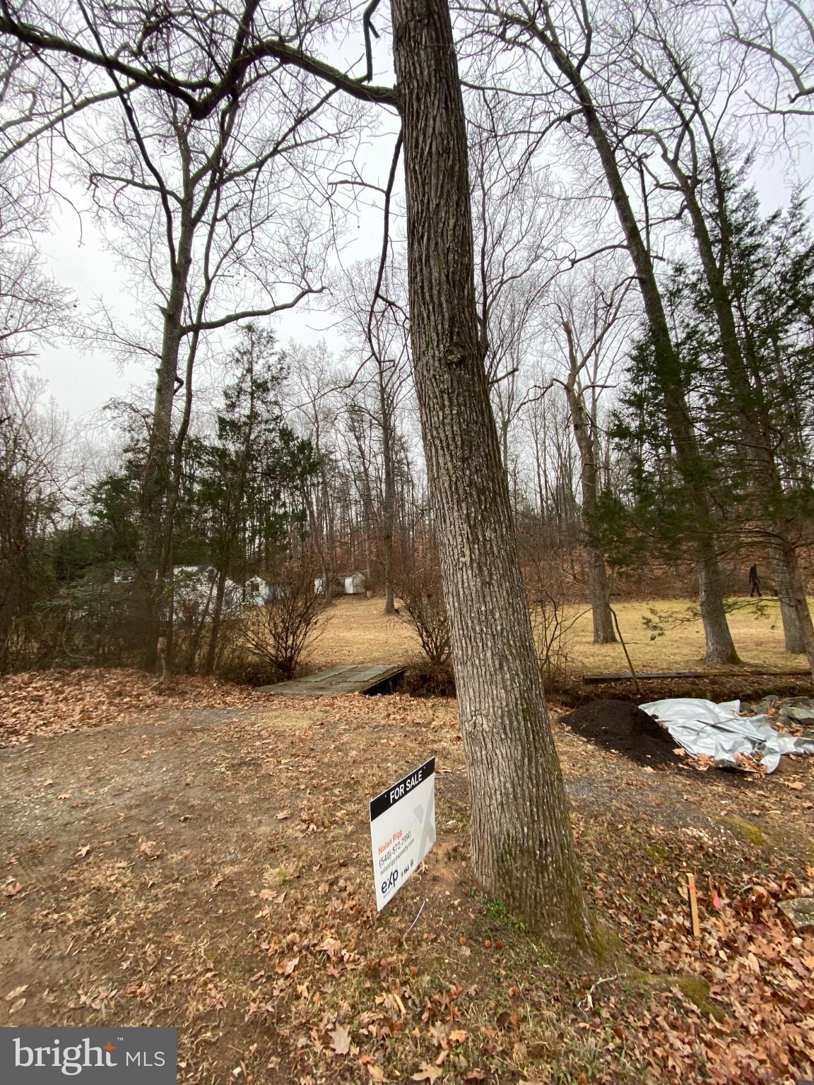 0 Jumping Branch Road Stafford, VA 22554 - Photo 9 of 18 a view of a yard with trees