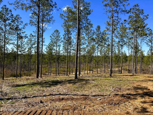 $614,500 | 26 A Hughes Lake Road, Cleveland, TN 37323