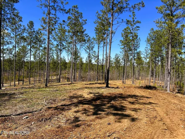 $614,500 | 26 A Hughes Lake Road, Cleveland, TN 37323