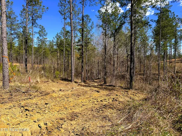 $614,500 | 26 A Hughes Lake Road, Cleveland, TN 37323