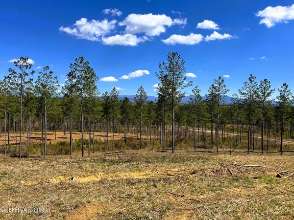 $614,500 | 26 A Hughes Lake Road, Cleveland, TN 37323