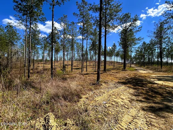 $614,500 | 26 A Hughes Lake Road, Cleveland, TN 37323