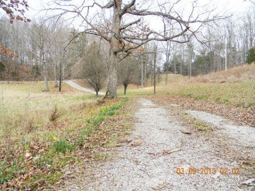 686 Moore Road Cookeville, TN 38506 - Photo 5 of 8 Additional Photo