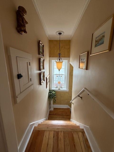 332 James Street Springdale, PA 15144 - Photo 23 of 46
